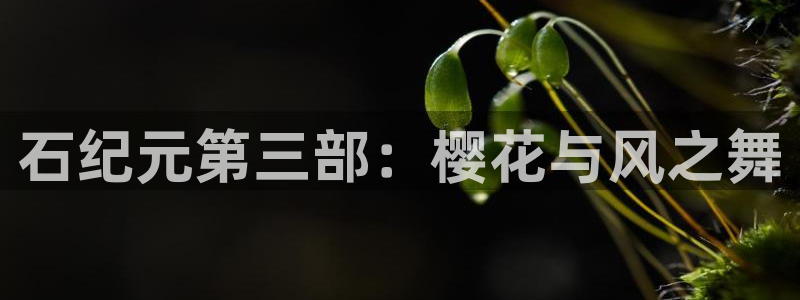 stagenehind韩漫免费观看：石纪元第三部：樱花与风之舞
