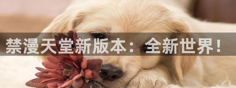 香蕉漫画网上看：禁漫天堂新版本：全新世界！