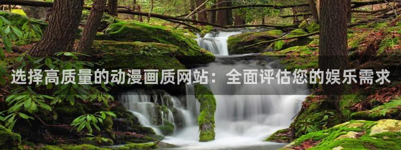volcanicage漫画：选择高质量的动漫画质网站：全面评估您的娱乐需求