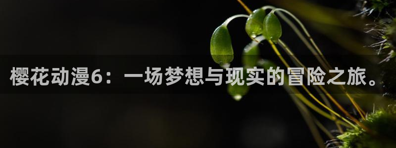age漫画网：樱花动漫6：一场梦想与现实的冒险之旅。
