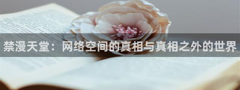 kakaopage韩漫官网：禁漫天堂：网络空间的真相与真相之外的世界