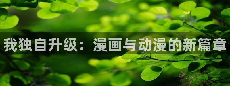 colamanage漫画：我独自升级：漫画与动漫的新篇章