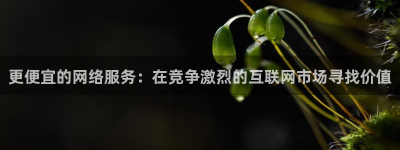 香蕉漫画官网在线入口：更便宜的网络服务：在竞争激烈的互联网市场寻找价值