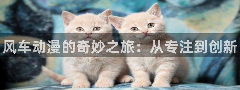 backstage韩漫免费观看：风车动漫的奇妙之旅：从专注到创新