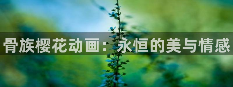 香蕉漫画官网版入口：骨族樱花动画：永恒的美与情感