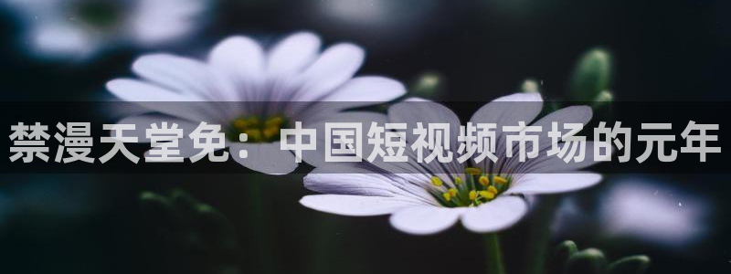 香蕉漫画官网网址