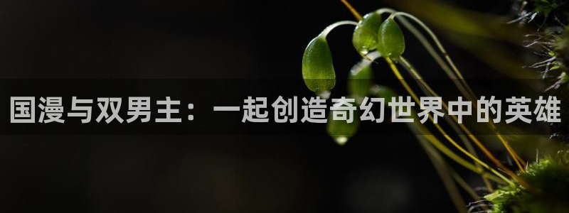 香蕉漫画网官网入口：国漫与双男主：一起创造奇幻世界中的英雄