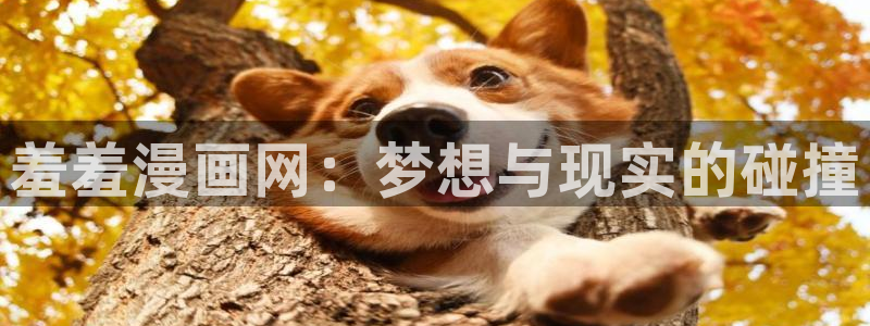 colamanage漫画：羞羞漫画网：梦想与现实的碰撞