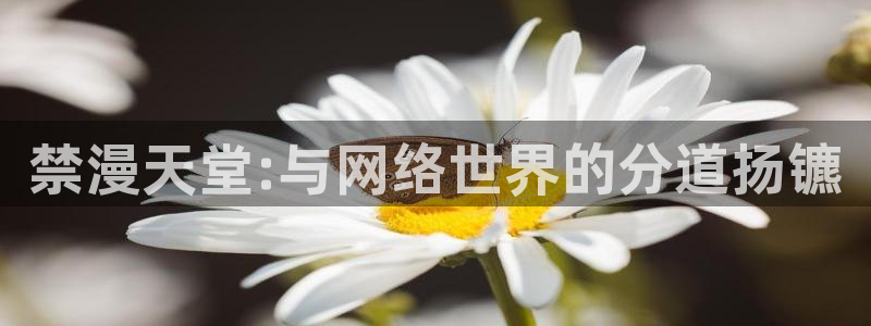 stagenehind韩漫免费观看：禁漫天堂:与网络世界的分道扬镳