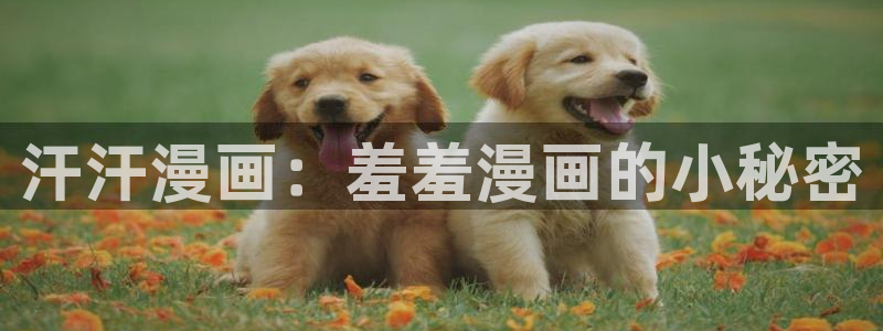 香蕉漫画网官网入口：汗汗漫画：羞羞漫画的小秘密